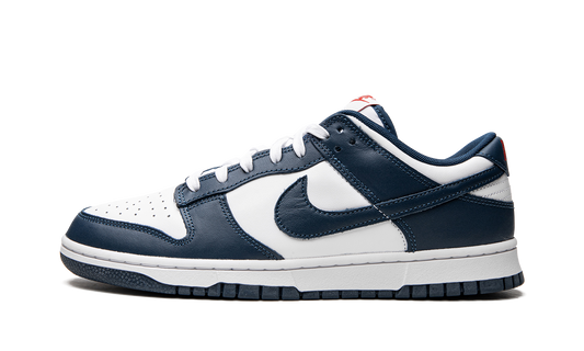 Dunk Low Retro 1